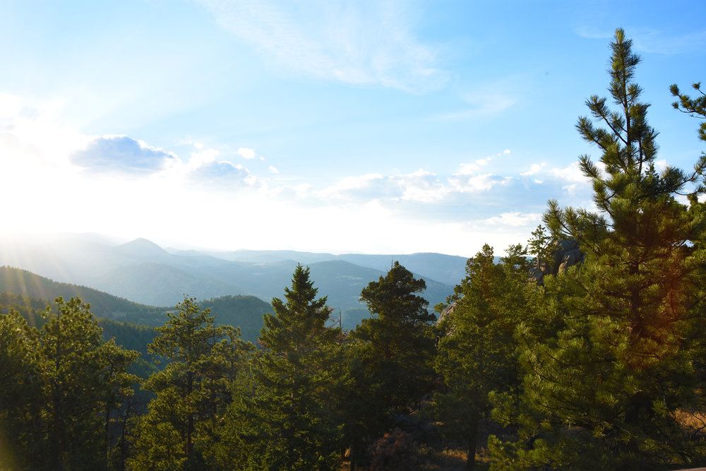 We drove up Flagstaff on our last day.