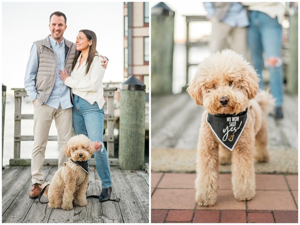 Boston, MA dog friendly Engagement photos