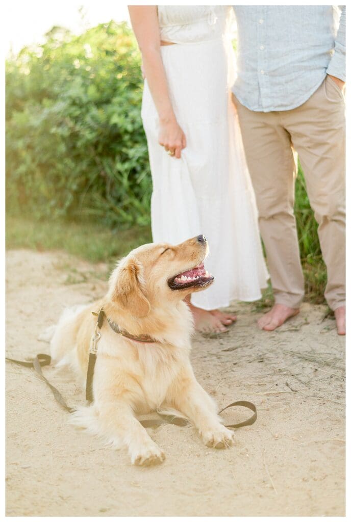 Morgan the golden retriever sitting happily beside Jess and Jamie at The Knob in Falmouth, MA