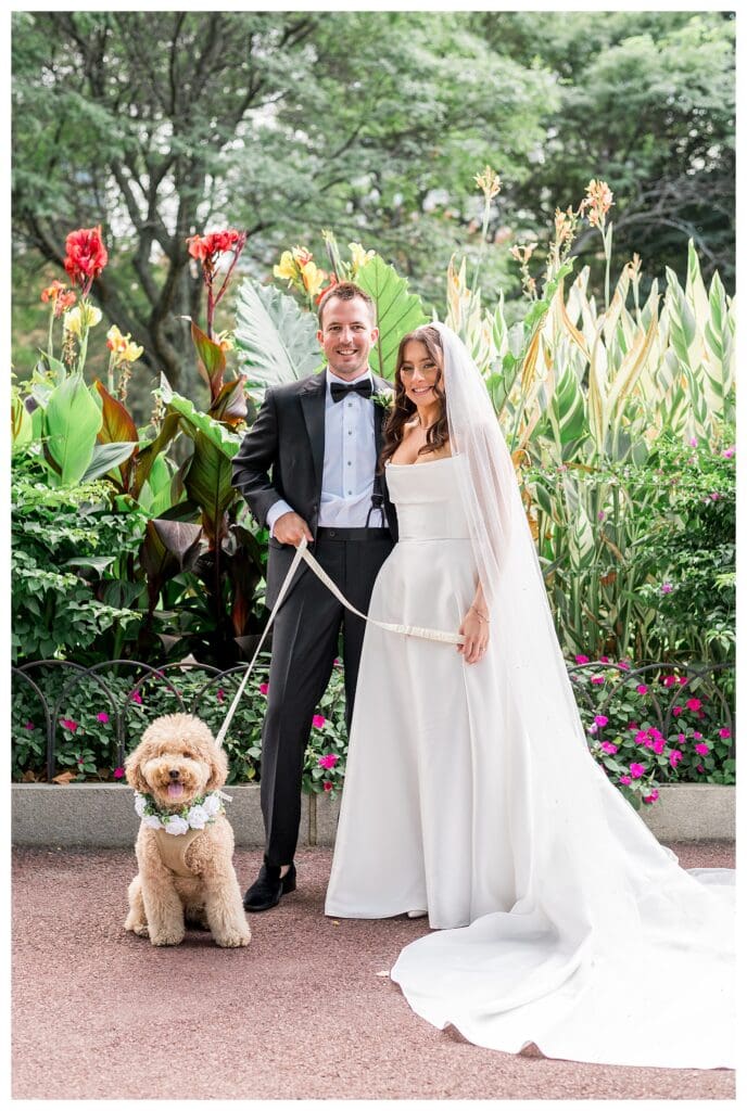 Playful dog portrait with bride & groom during Boston Wedding day.