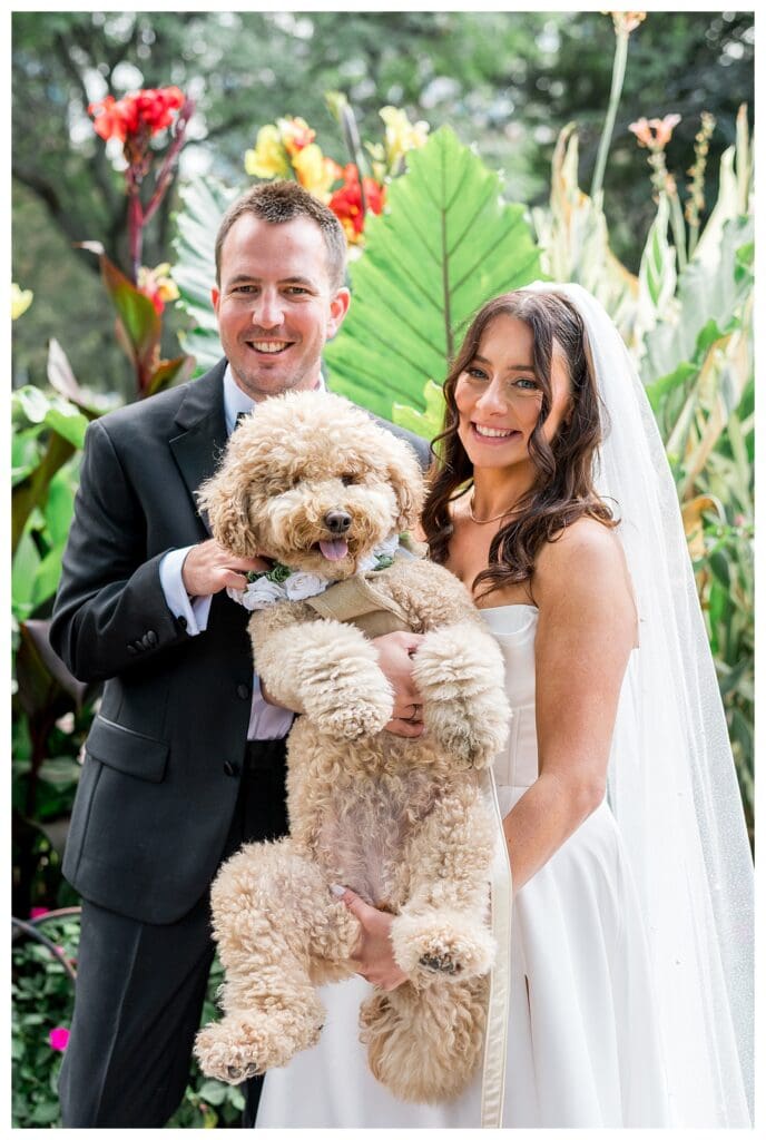 Bride and groom posing with dog during Boston waterfront wedding portraits.