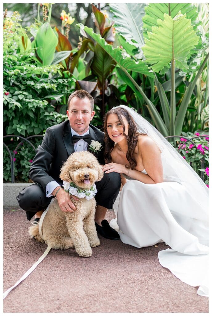 Couple including their dog in Boston waterfront wedding photos.