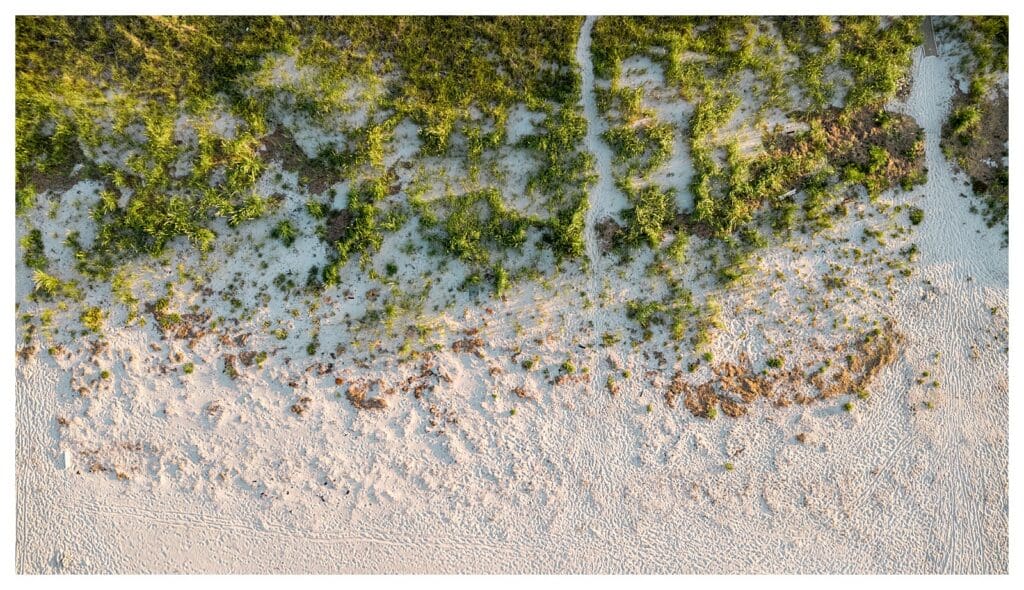 Aerial view of beach grass and sand along the Massachusetts coastline